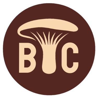 BREAD TREND CONCEPT